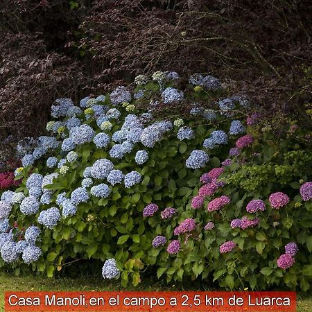 Casa Manoli Luarca Guest House Almuña Eksteriør bilde